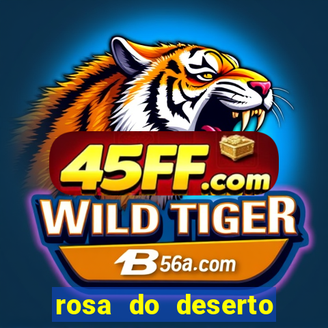 rosa do deserto lilac frost
